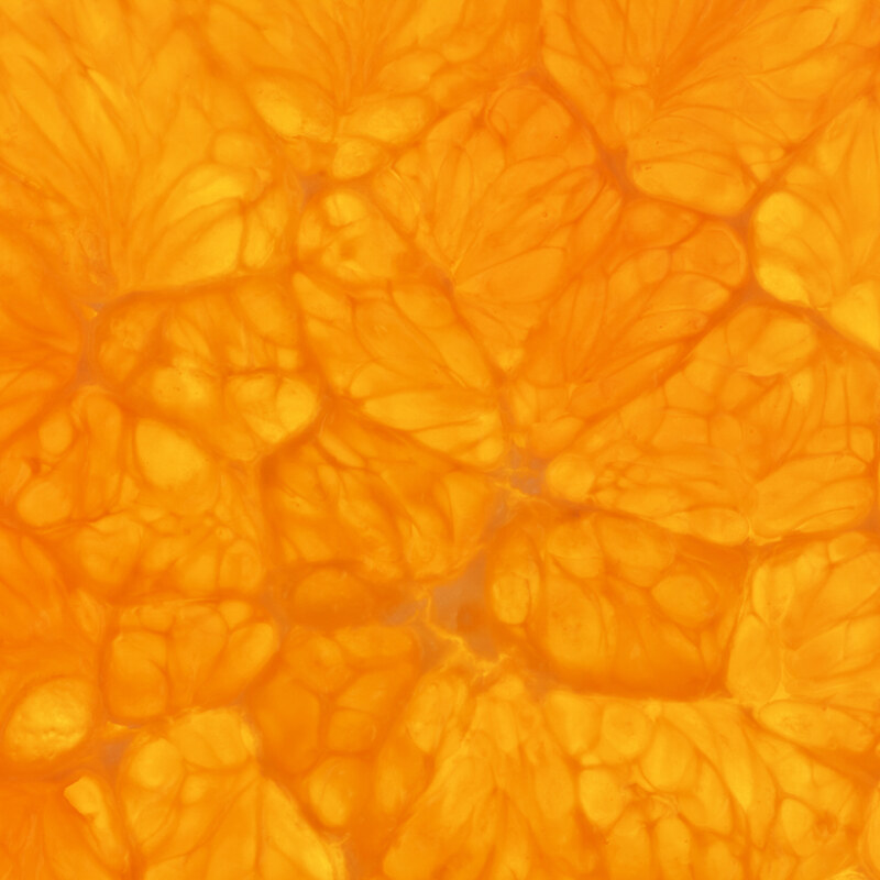 Fresh,Orange,Slice,Close,Up,(see,My,Portfolio,For,More)