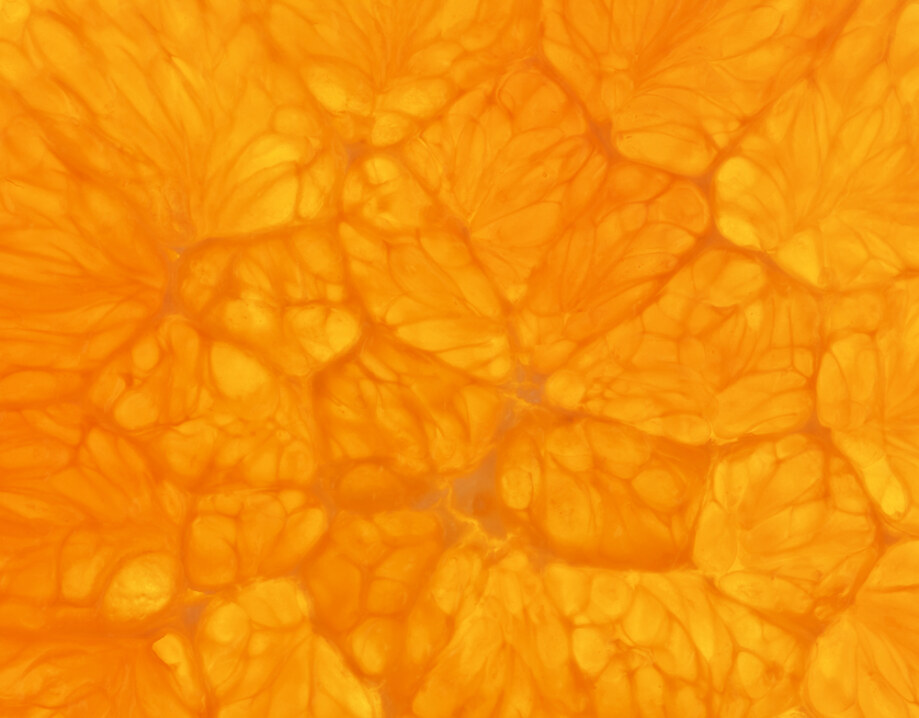 Fresh,Orange,Slice,Close,Up,(see,My,Portfolio,For,More)