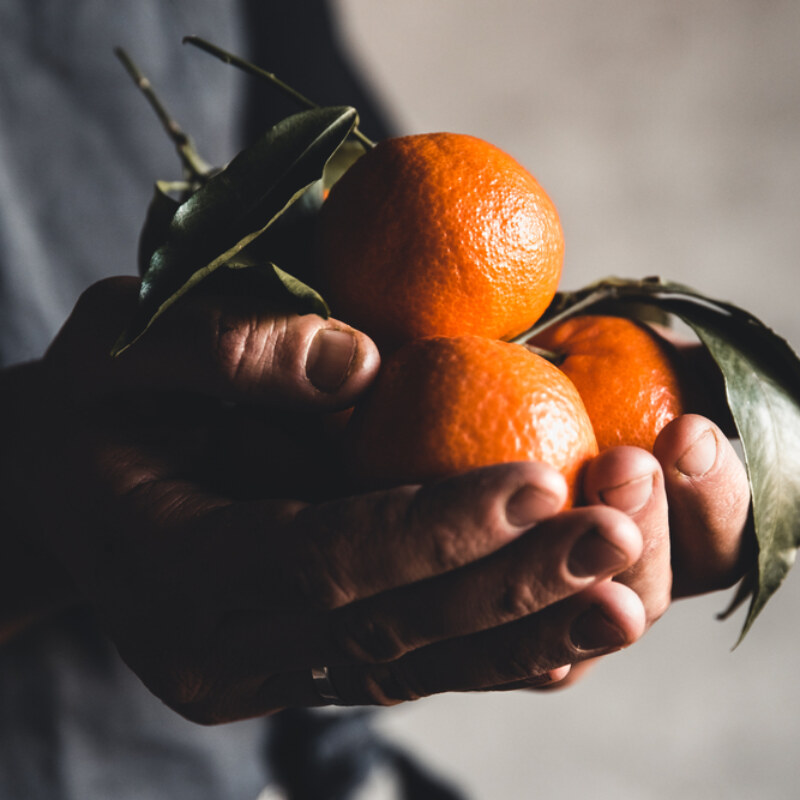 Ripe,Juicy,Sweet,Orange,Mandarins,In,A,Human,Hand,Against